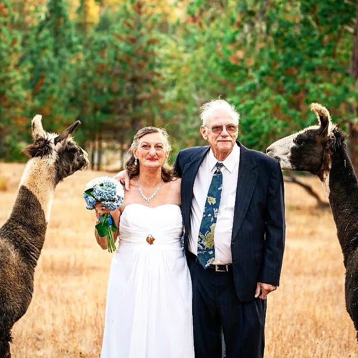 Cascade Mountain Ranch